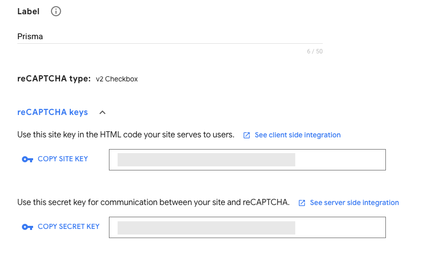 Google Captcha V2 keys