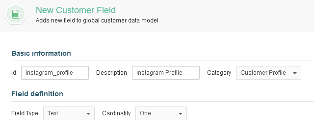 Adding a new field in the customer data model