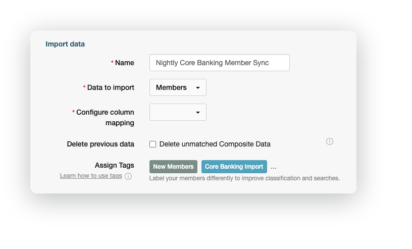 Data sync import settings with the Assign Tags field and two selected tags