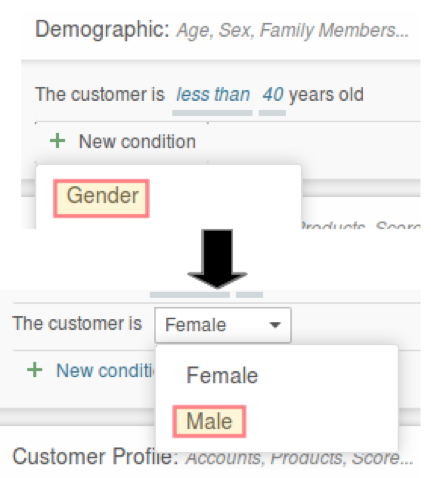 FIGURE 4: Add an additional condition to configure a segment